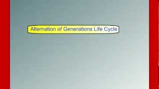 Alternation of Generations Life Cycle [upl. by Narton489]