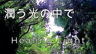 潤う光の中で・Healing Light [upl. by Eedrahs]