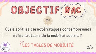 BAC Cours Mobilité Sociale  Les tables de mobilité [upl. by Nilya784]