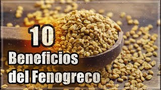 Beneficios del Fenogreco para tu Salud [upl. by Atnohsal]