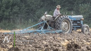 Fordson Super Dexta  Guggenbauer Zinkenegge  Saatbettbereitung · seedbed preperation [upl. by Kcaz]