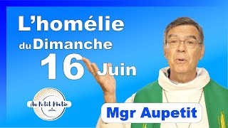 Évangile et homélie du Dimanche 16 Juin  Avec Mgr Aupetit [upl. by Ocirema255]