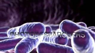 E Coli Bacteria  Photo Researchers [upl. by Eissed]