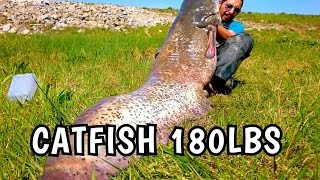 BIG CATFISH 180LBS 232CM FROM SHORE MOHAMED FISHING [upl. by Ia]