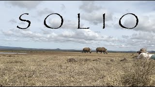 So Many Rhinos at Solio Game Reserve  Kenya [upl. by Morten]