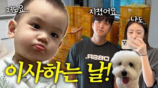 VLOG 드디어 이사했어요❗️역대급 힘들고 오래 걸린 이사📦 [upl. by Ellehcit858]