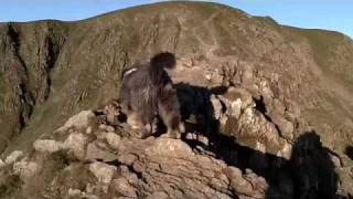 Striding across Striding Edge to Helvellyn in the Lake District HD full version [upl. by Neelsaj]