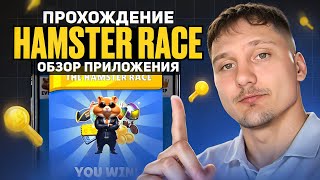 HAMSTER KOMBAT  Как Заработать Ключи в новой игре Hamster Race Как получить Код на Ключ ОБЗОР [upl. by Hestia363]