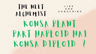 Ploidy of different plant parts now no more confusion Konsa haploid hai Konsa diploid [upl. by Akcebar675]