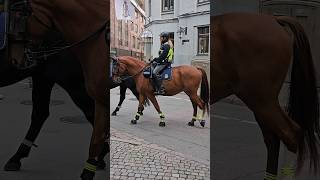 quotHorseback police patrol Swedenquot shorts video [upl. by Fuchs]