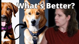 The Truth About Flat Collars Vs Harnesses  A Veterinarian Explains [upl. by Airamalegna]