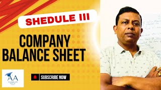 Introduction on Company Balance sheet  Shedule III Companys Act 2013 [upl. by Roter]