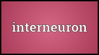 Interneuron Meaning [upl. by Adamski622]