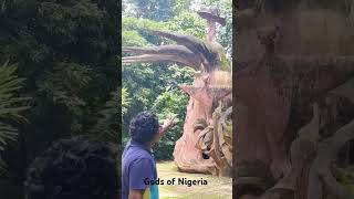 Gods of Nigeria youtubeshorts africa tamil viralvideo trending shortsfeed [upl. by Bryan]