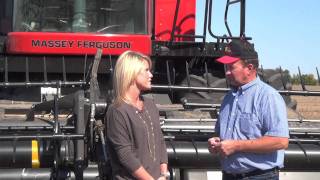 Massey Ferguson Across America9895Combining Soybeans in Illinois [upl. by Shakespeare]