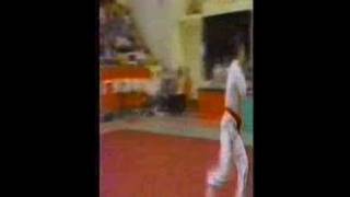 Wushu 1986  Gao Huan Bo with Sheng Biao [upl. by Wylen]