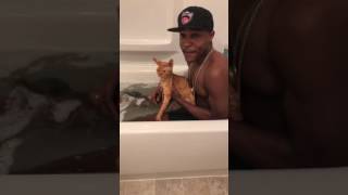 Ravioli Cat Bath Rap [upl. by Verner]