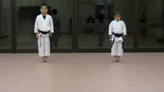 JKA Mahiro amp Masaki practice Heian shodangodan and Tekki shodan part 1 [upl. by Aisek]