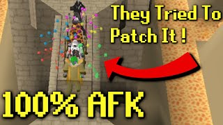 Jagex Tried To Patch AFK Agility But They Failed [upl. by Clio760]