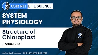 Structure Of Chloroplast  System Physiology  CSIR NET Exam For Life Science [upl. by Enyawd828]