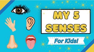 5 Senses for Kids  Science [upl. by Pinkham]