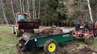 Novemberarbeiten mit unseren Kaltblutpferden Moritz und Leo  spreading manure with drafthorses [upl. by Notlrac]