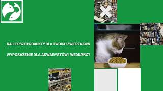 Sklep zoologicznowędkarski AMAZONKA Lubin [upl. by Eedyak92]