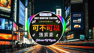 🎧全中文DJ舞曲夜店混音舞曲串烧 2025 💥2025夜店舞曲 重低音 🎧Hot Tiktok Douyin Dj 抖音版2025 張紫豪  可不可以 刘奕辰  我又想你了 親愛的不要哭 [upl. by Felton]