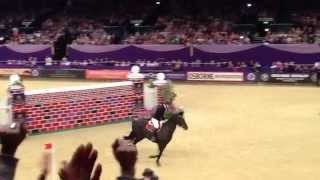 HOYS  Horse of the year show 2013  Puissance Winner  Dou [upl. by Ahcire]