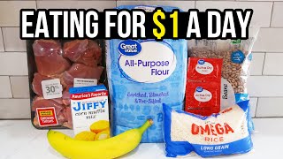 Eating for 1 a Day Cheap and Healthy Meal Ideas You Need to Try [upl. by Assisi]