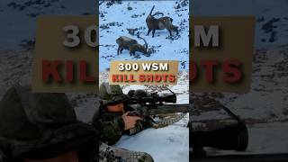 300 WSM KILL SHOTS [upl. by Jackie]