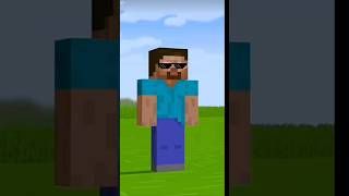 Steve vs Herobrine minecraft [upl. by Aikkan961]