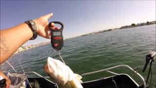 Bass fishing at silverlakes [upl. by Eenafets]