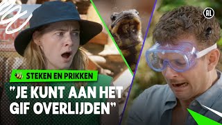 VERGIFTIGD DOOR DE VUURSALAMANDER 🦎🔥  Steken en Prikken  S4 7  NPO Zapp [upl. by Linskey]