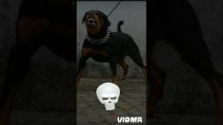 Dog version720p power of transformation short video [upl. by Nomzed]