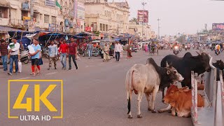 Everyday Life of Puri  4K Travel Film  Incredible India  Cities of the World [upl. by Ramso]