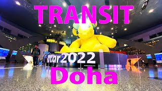 【Airport Tour】How to Transit at Qatar Doha Hamad International Airport [upl. by Mikal]