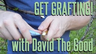 Get Grafting Instructional with David The Good learn 3 easy grafts amp lose your fear of grafting [upl. by Jenilee]