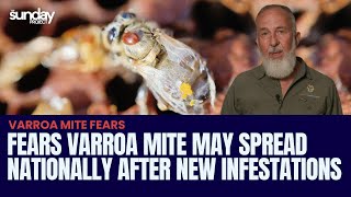 Fears Varroa Mite May Spread Nationally After New Infestations Found [upl. by Ben121]