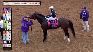 Straight No Chaser wins Cygames Breeders Cup Sprint GI race 10 at Del Mar 11224 [upl. by Duston]