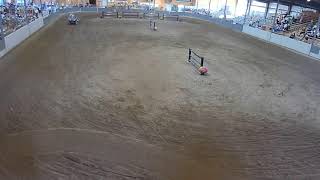 Topeka Livestock Auction Live Stream [upl. by Rebeca]