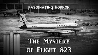 The Mystery of Flight 823 A Short Documentary  Fascinating Horror [upl. by Onateag]