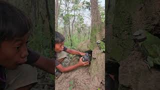 A man sees a dove in a cave with a parrotbird beautiful love [upl. by Saville]