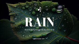 Cozy Rainstorm Retreat Soothing Rain Sounds for Healing and Relaxation [upl. by Tabbitha]