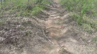 Trail 81 Cherokee National Forest Full Length from McFarland Rd HD [upl. by Noillid918]