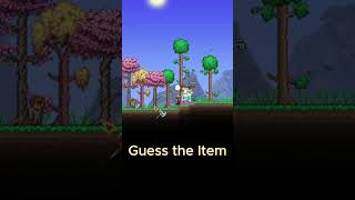 Guess the Terraria Item 25 terraria gaming [upl. by Arda154]