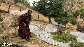 quotThe Resilient Lady A Widow Collecting Weeds from the Fieldquot [upl. by Aidualk]