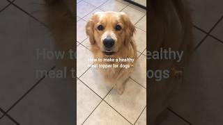 Healthy meal topper for dogs cutedogs Recipe for dog food meal topper dogfeeding dogdish ❤️🤩❤️ [upl. by Cathie]