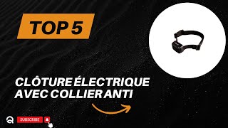 Top 5 Meilleur Clôture Électrique avec Collier Anti Fugue pour Chien de 2024 [upl. by Lhamaj]