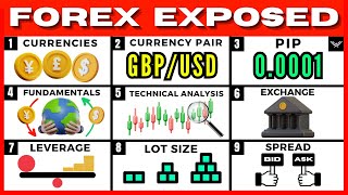 Forex Trading For Beginners FREE FULL COURSE [upl. by Zabrine]